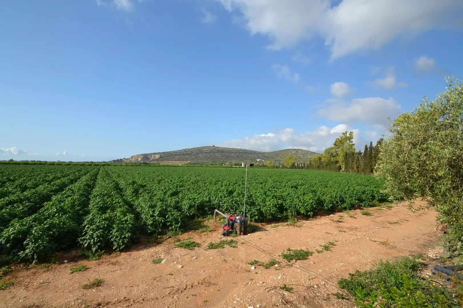 Country house with pool for sale in Partidas de interior - Zona Rústica, imagen 68