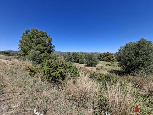 Terreno residencial en Venta en CTRA EL VENDRELL, 593 en Albinyana