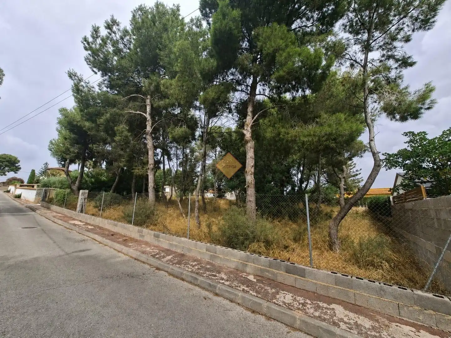 Terreno residenziale in vendita a La Conarda - Montesano, imagen 5