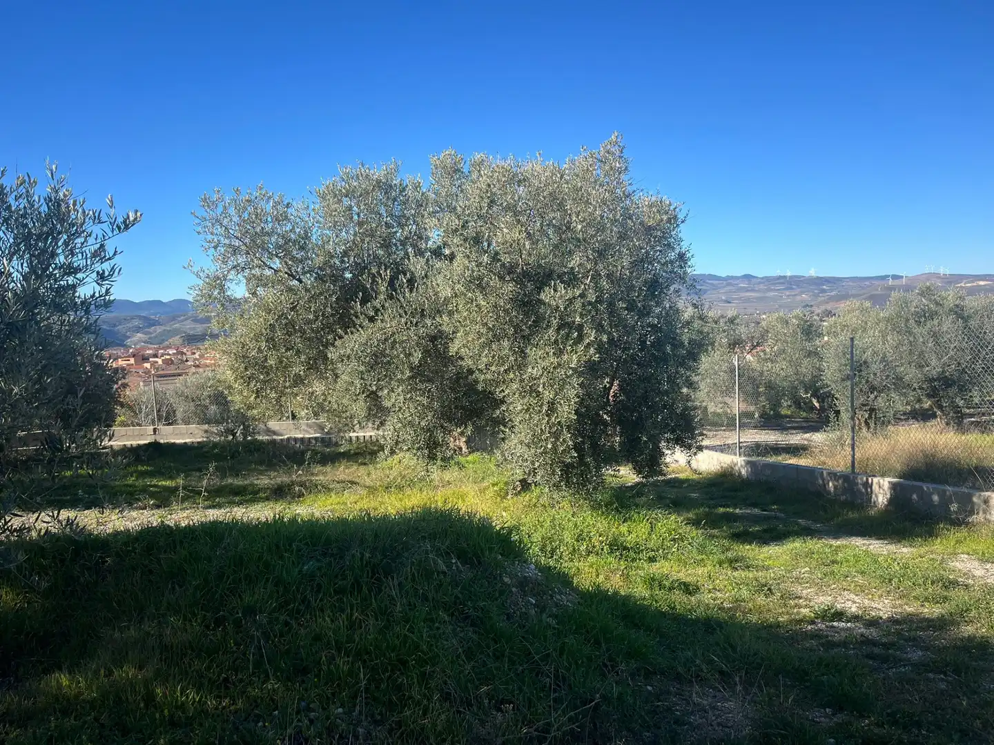 Rural land for sale in Calle Jose Saramago, imagen 6