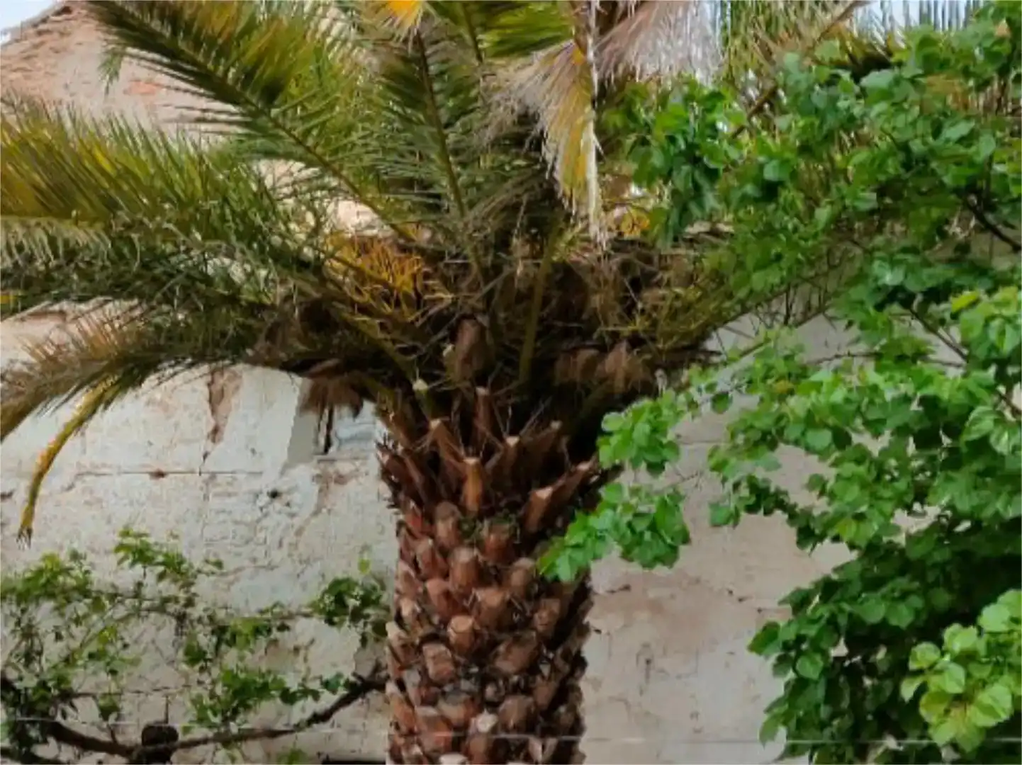 Jardí de Pis en venda en Torralba de Calatrava amb Jardí privat, Traster i Moblat