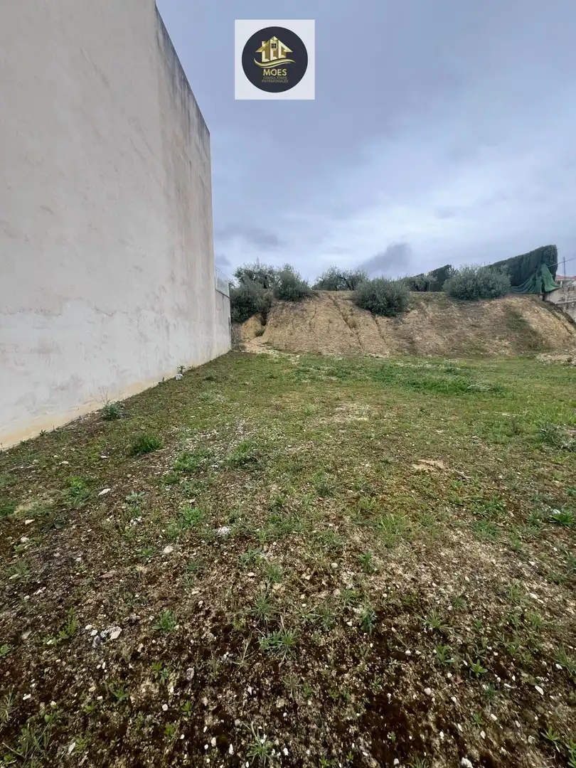 Lands and plots for sale in Torredonjimeno, imagen 2