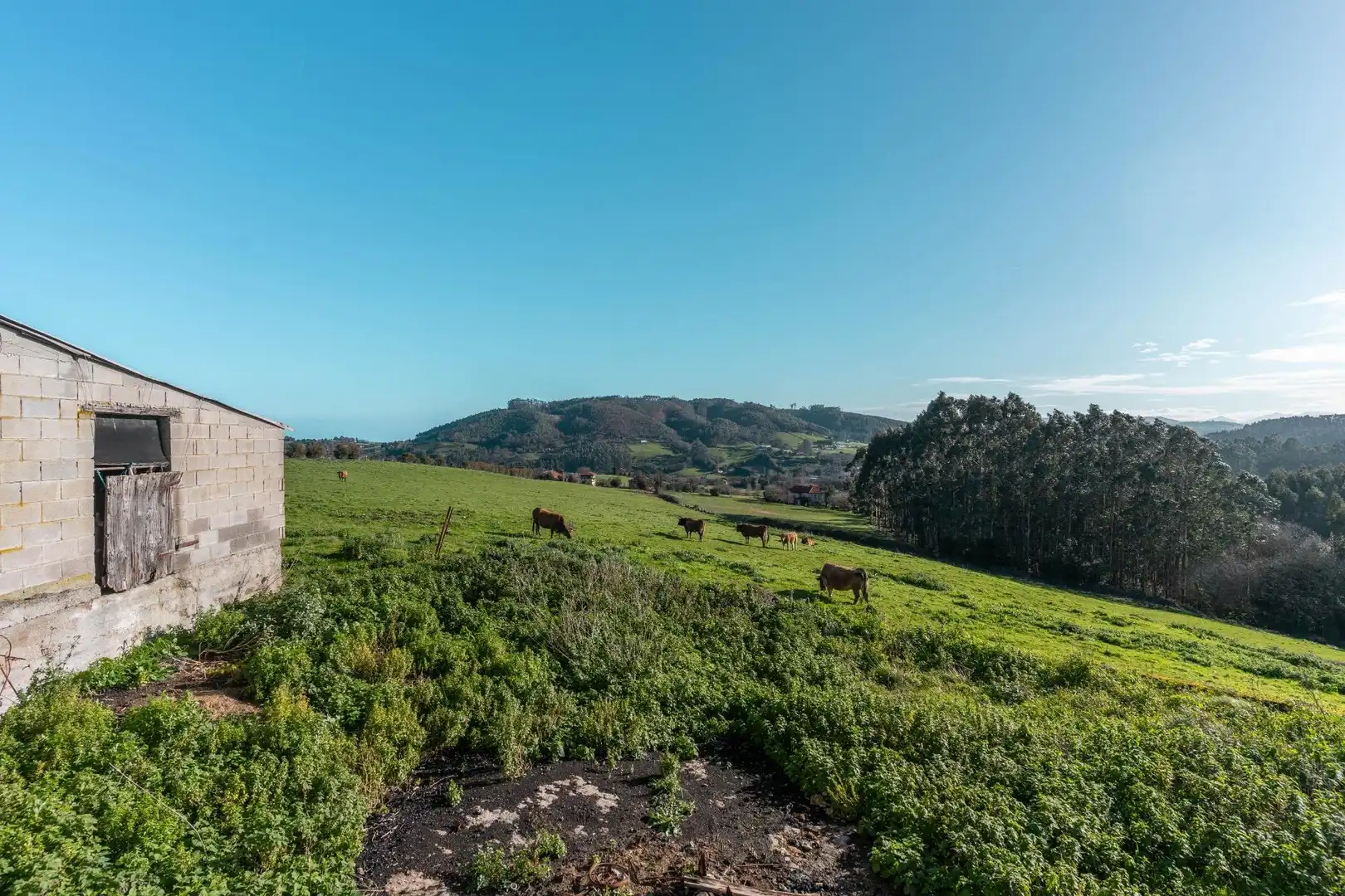 Vista exterior de Casa o chalet en venta en Carreño con Calefacción, Jardín privado y Trastero