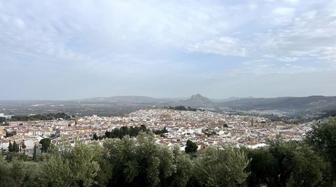 Foto 3 de Finca rústica en venda a Centro, Antequera