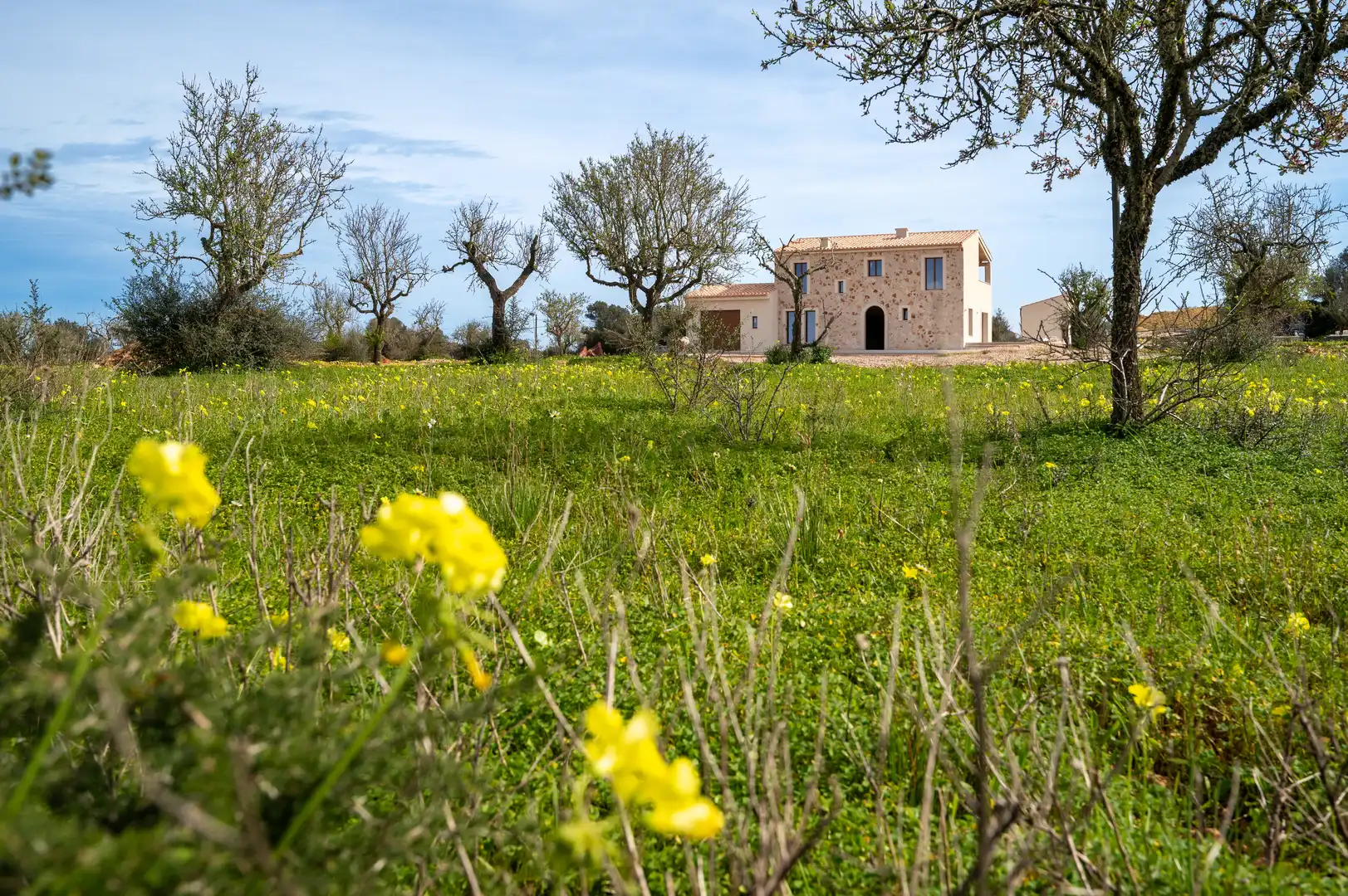 Casa rústica con terraza en venta en Ses Salines Poble, imagen 31