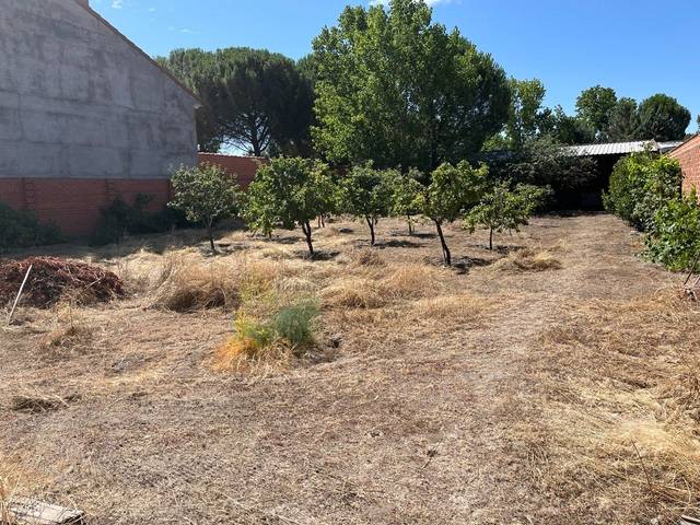 Terreno residencial en Venta en Calle Olimpiadas, 13 en Coca