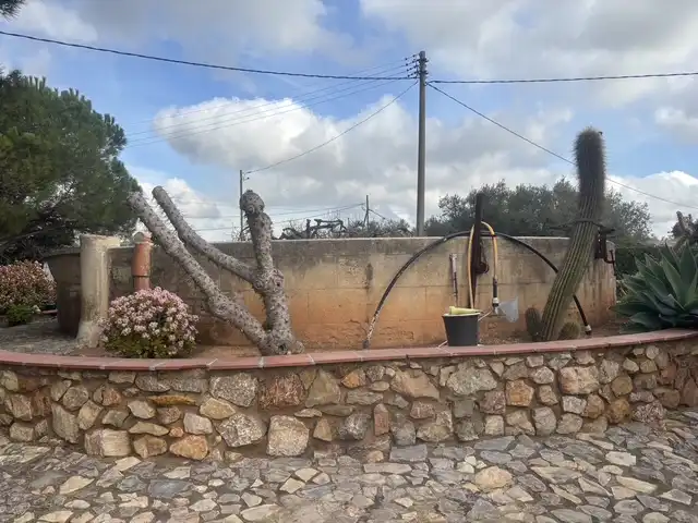 Garten von Grundstücke zum Verkauf in Reus