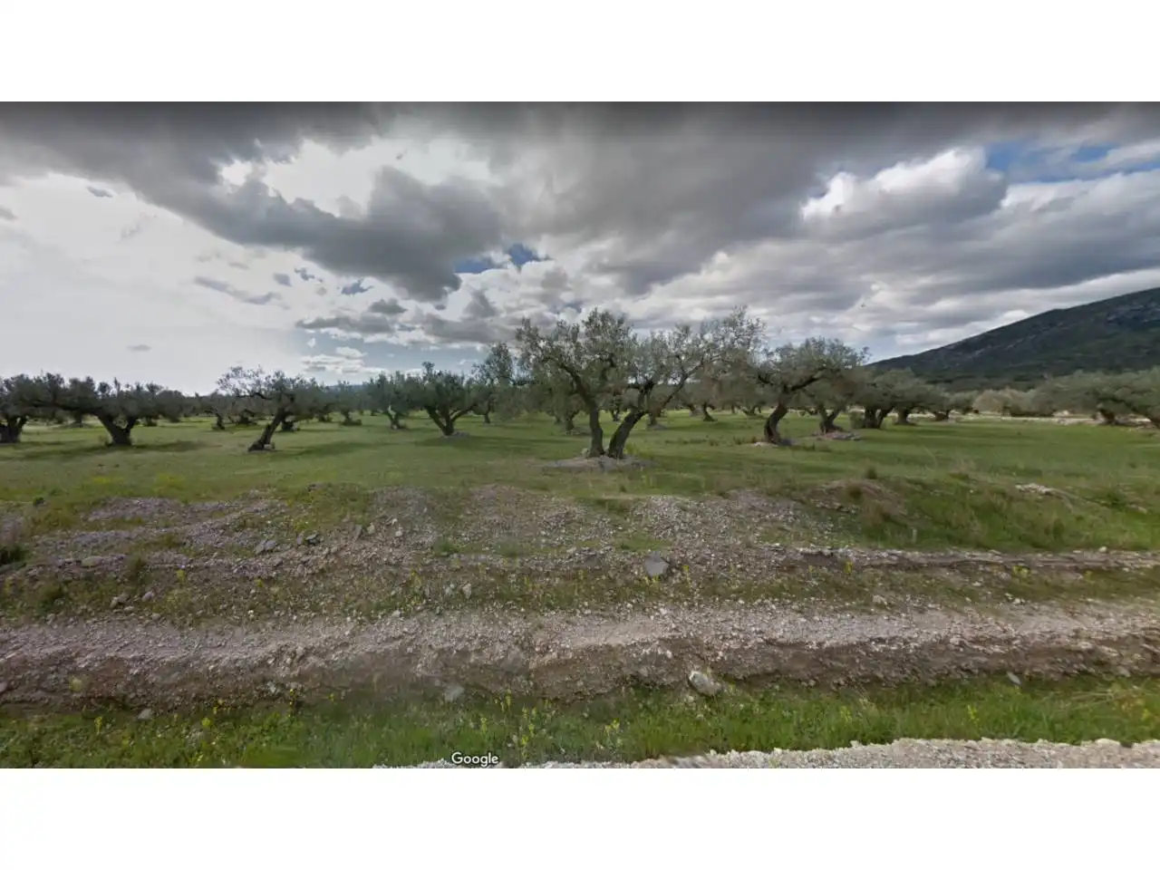 Rural land for sale in Roquetes, imagen 4