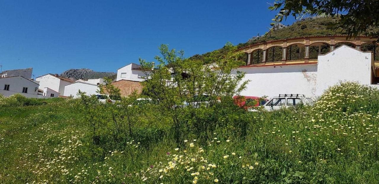 Jardí de Residencial en venda en Cortes de la Frontera