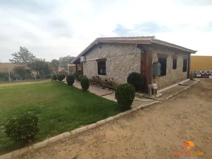 Vista exterior de Finca rústica en venta en Don Álvaro