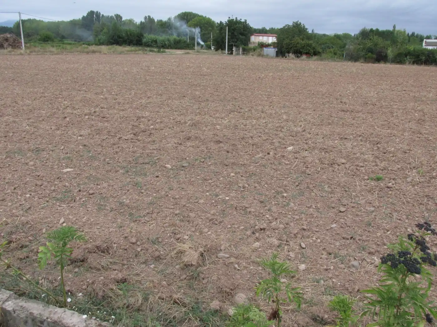Rural land for sale in Camino Polígono 12, imagen 7