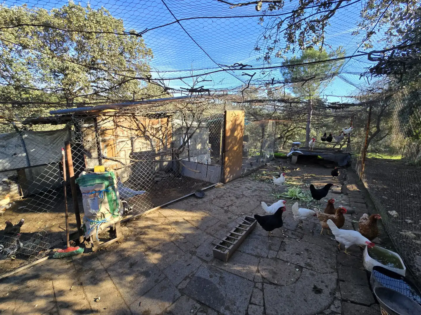 Casa rústica en venta en Pozoblanco, imagen 11