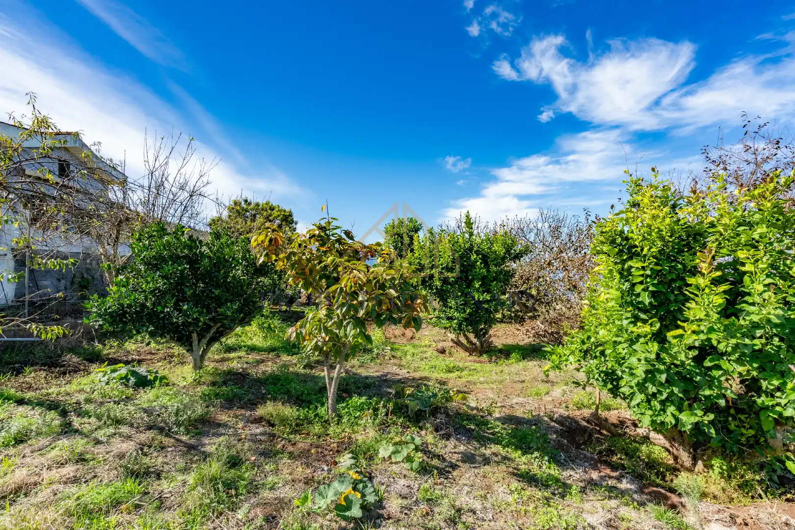 Finca rústica en venda en Santa Úrsula amb Terrassa