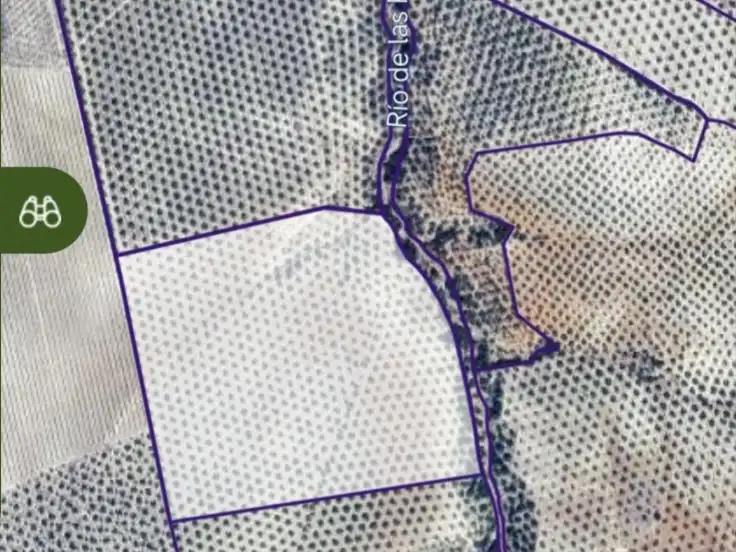 Terreny rústic en venda a Diseminado Diseminados 1333, imagen 8