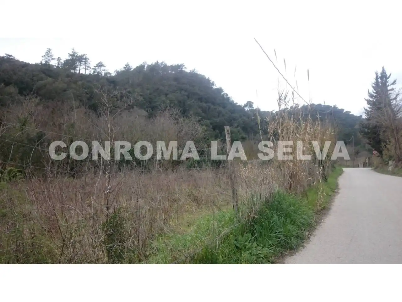 Casa rústica amb jardí en venda a Tordera pueblo, imagen 11