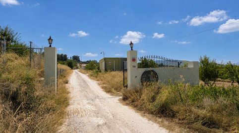 Foto 4 de Finca rústica en venta en El Pinós / Pinoso, Alicante