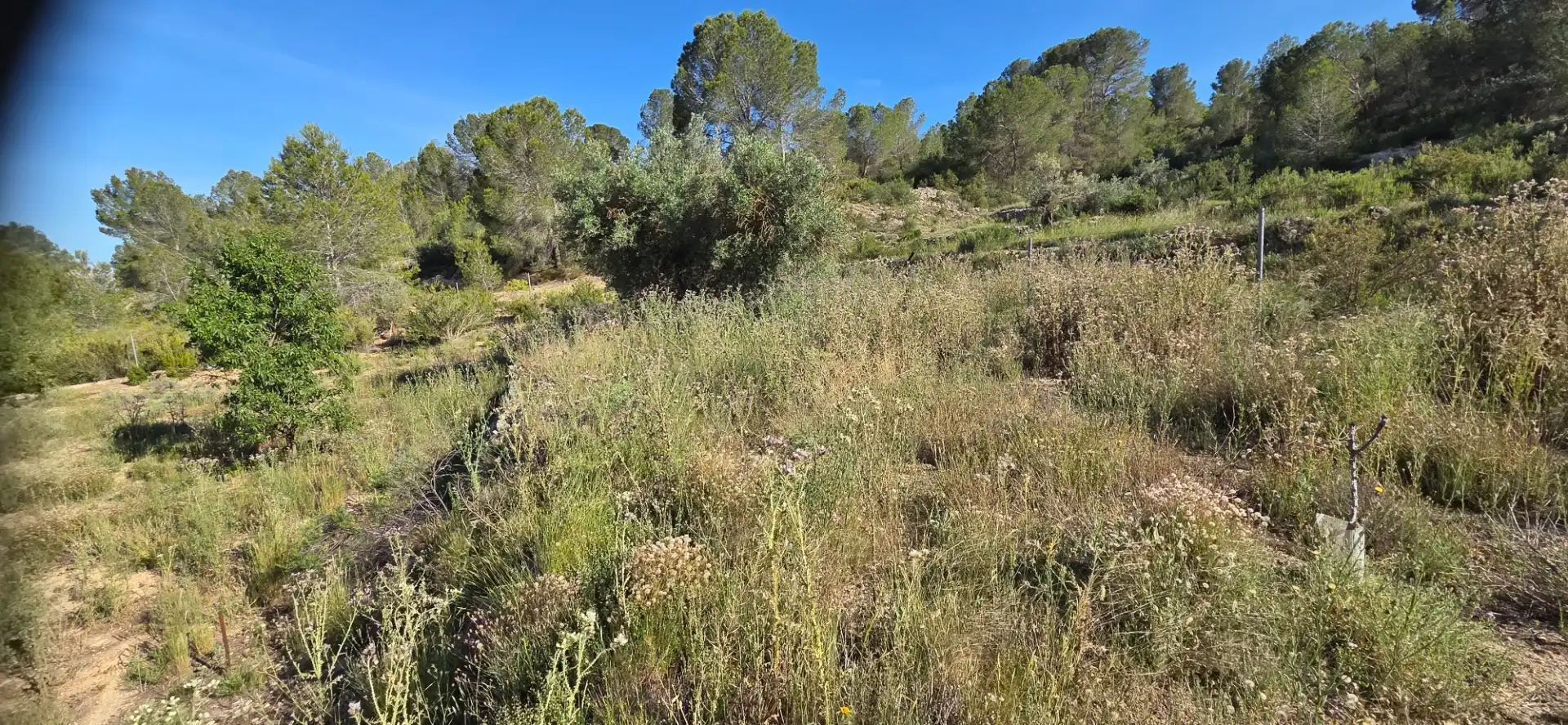 Casa o chalet en venta en El Pinós / Pinoso con Piscina