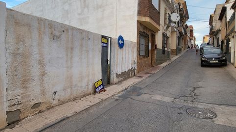 AlboxTerreno, immagine 4