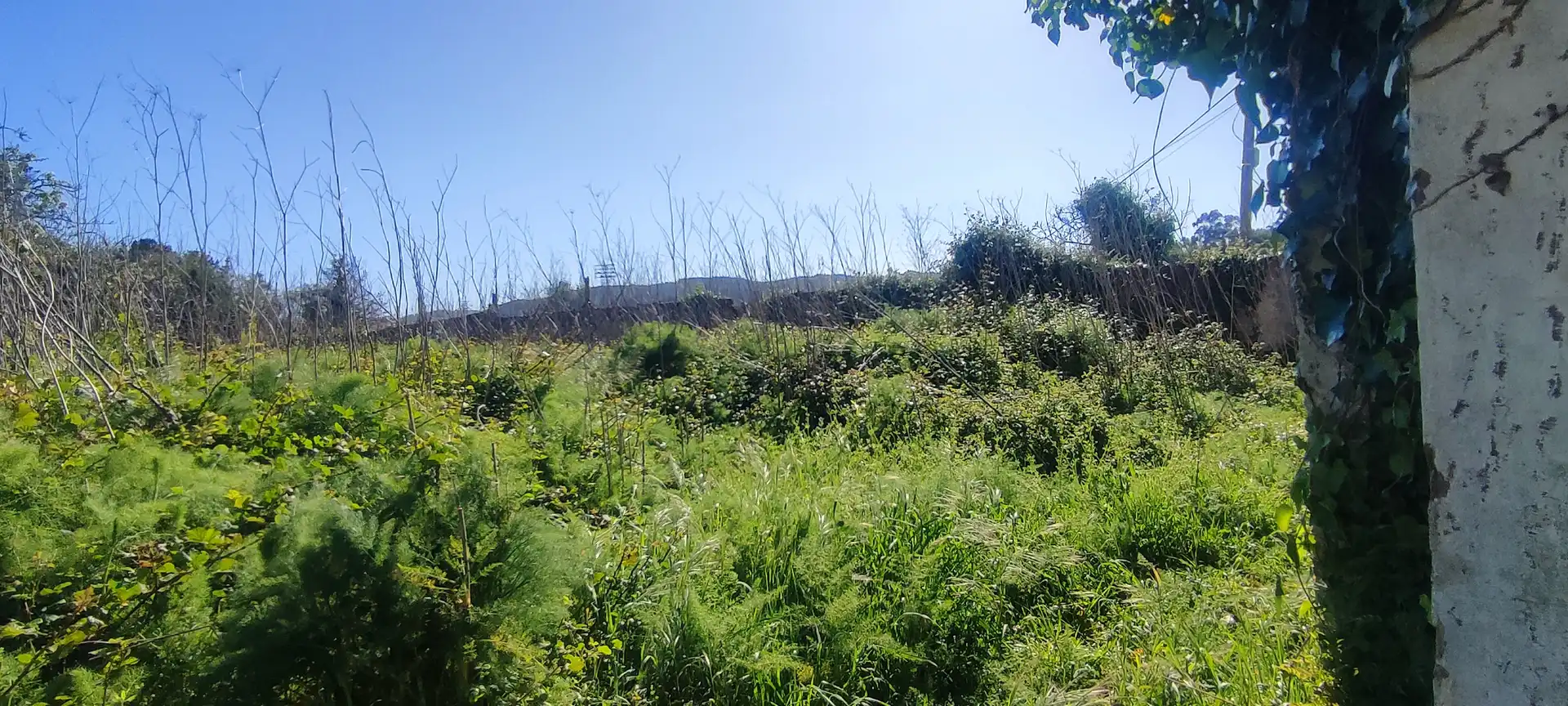Casa o xalet en venda en Ferrol amb Jardí privat