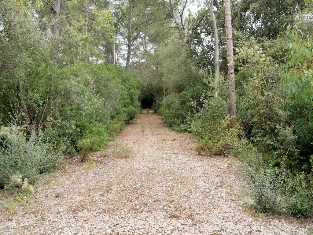 Grundstücke und Bauplätze zum Verkauf in Camino des campàs