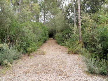 Grundstücke und Bauplätze zum Verkauf in Camino des campàs