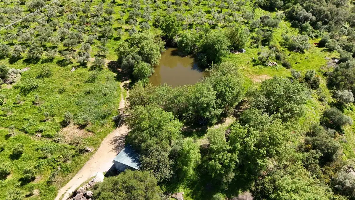 Casa rústica en venda a Gaucín, imagen 16