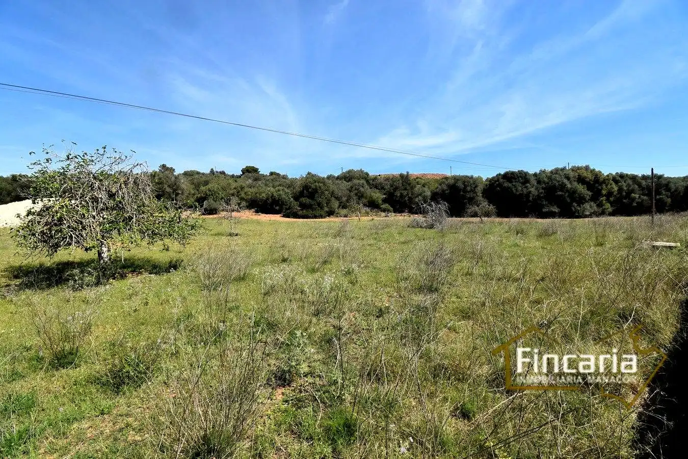 Rural land for sale in De La Torre Nova, imagen 14