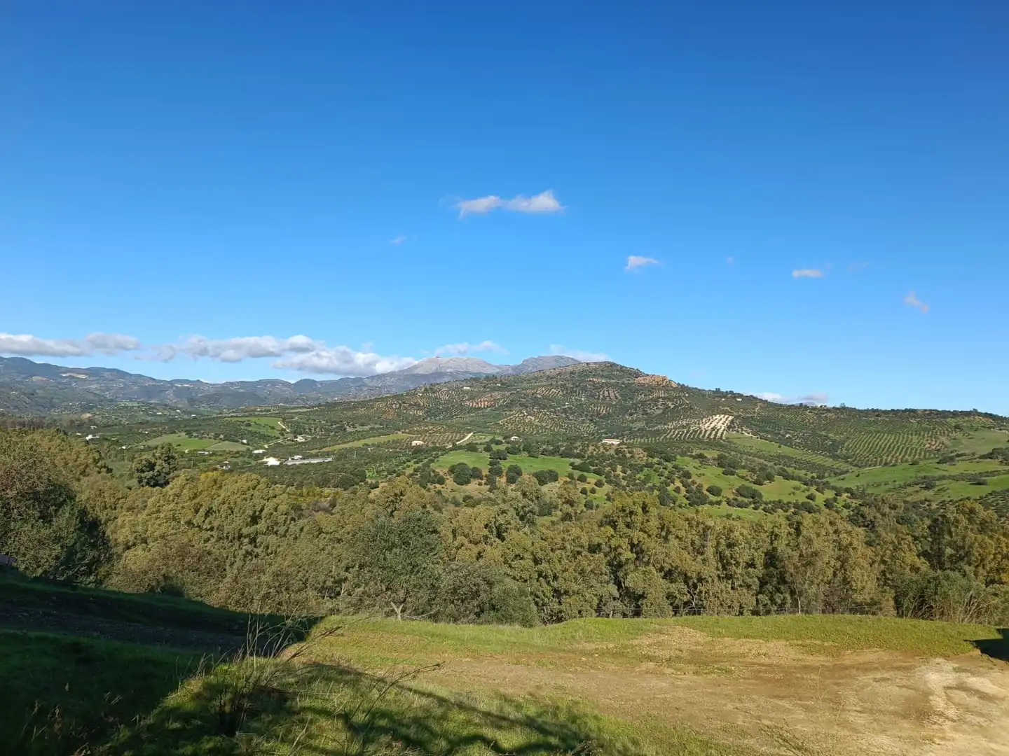 Exterior view of Houses for sale in Guaro  with Terrace, Storage room and Furnished