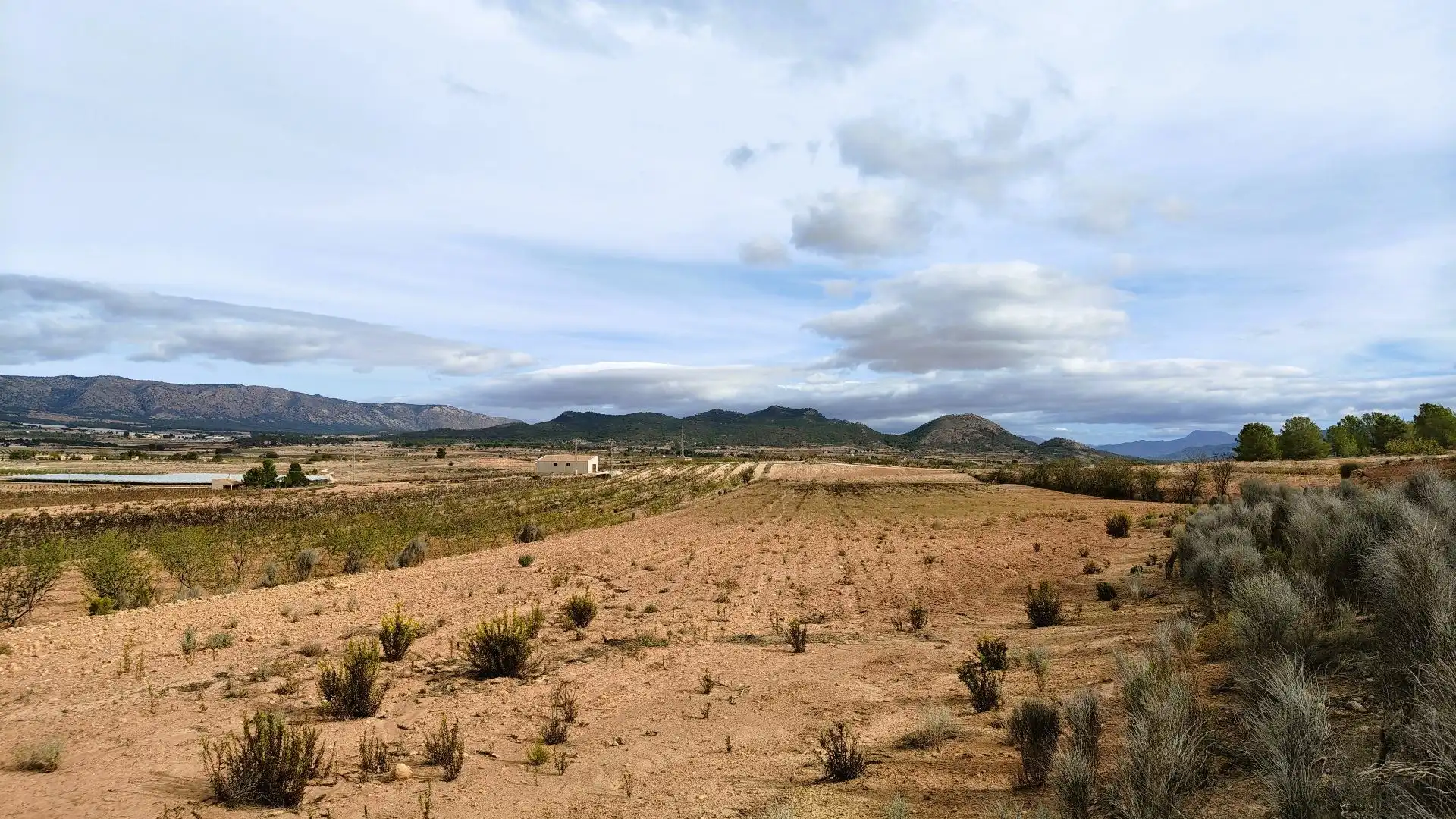 Terreny rústic en venda a Monóvar  / Monòver, imagen 7