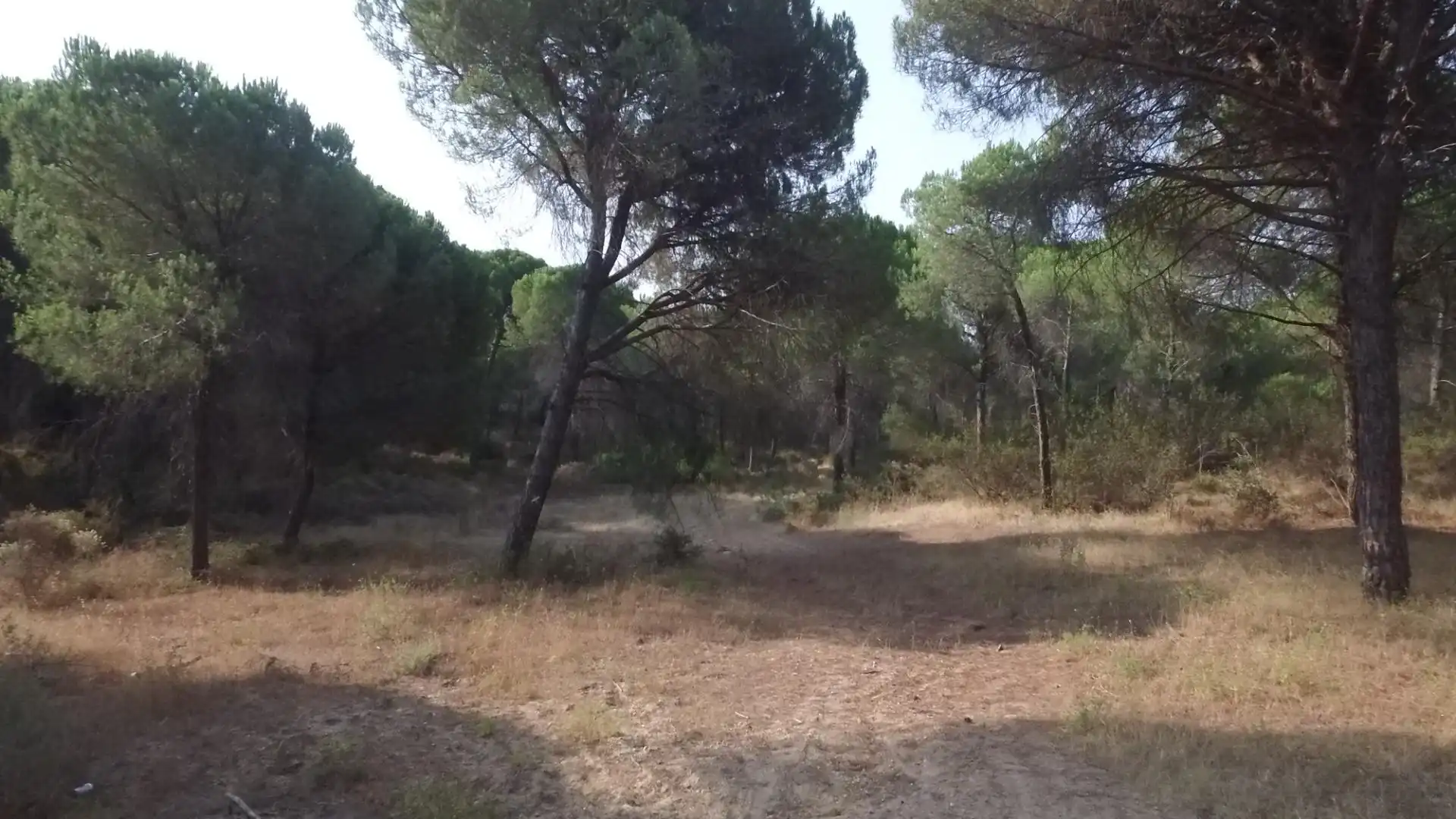 Terreno en venta en Villablanca