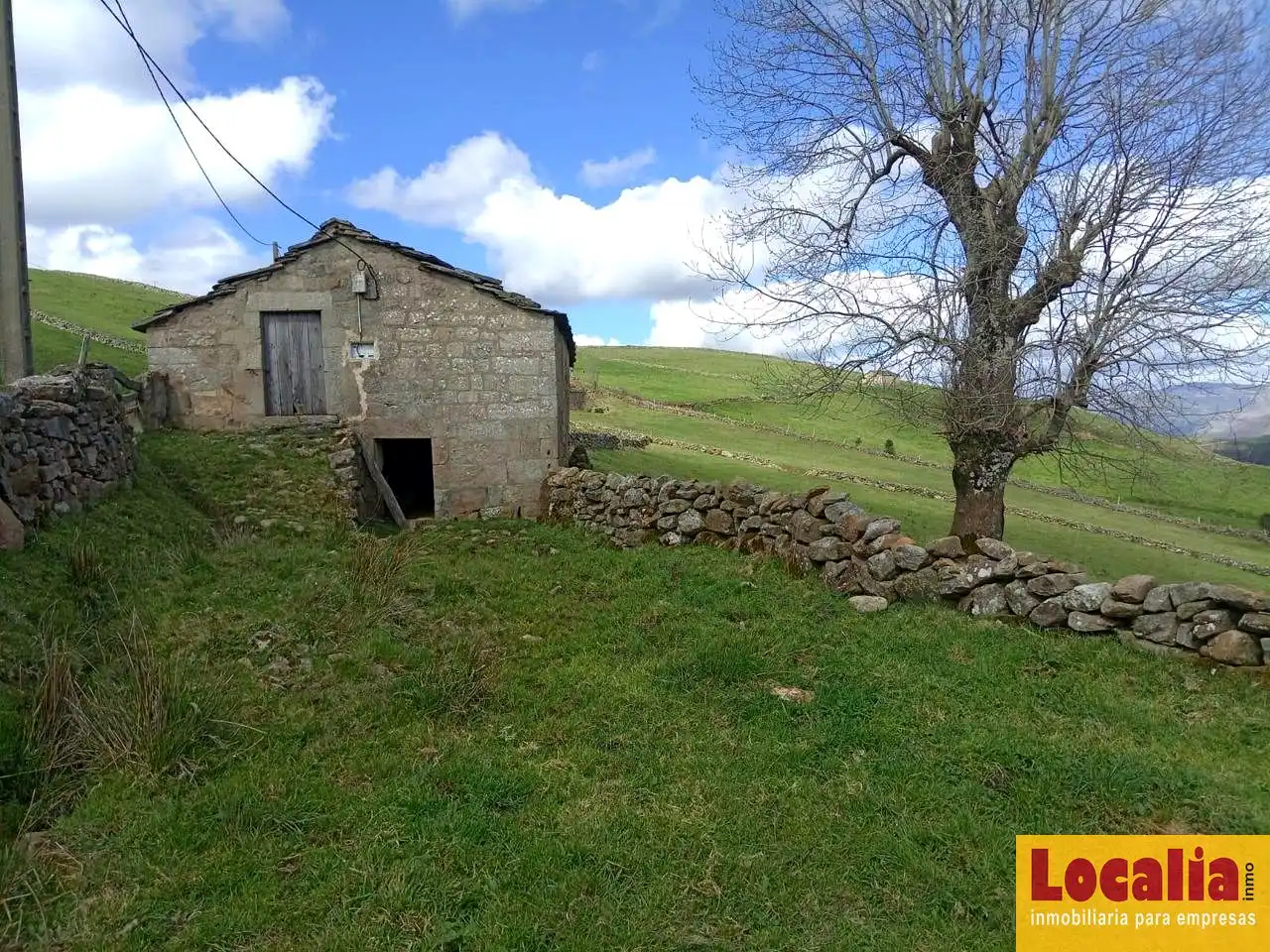 Finca rústica en venta en San Pedro del Romeral