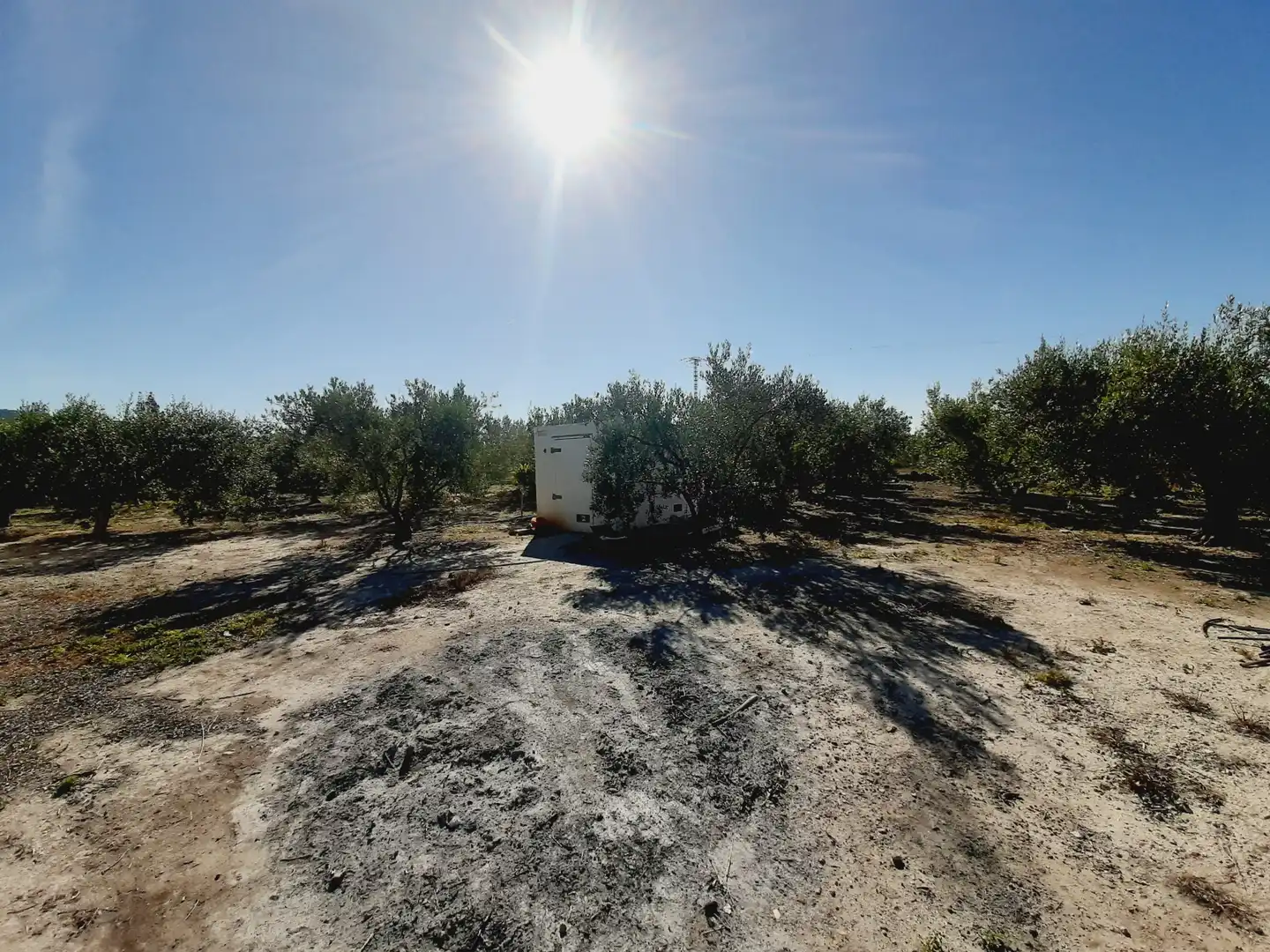 Lands and plots for sale in Mula, imagen 5