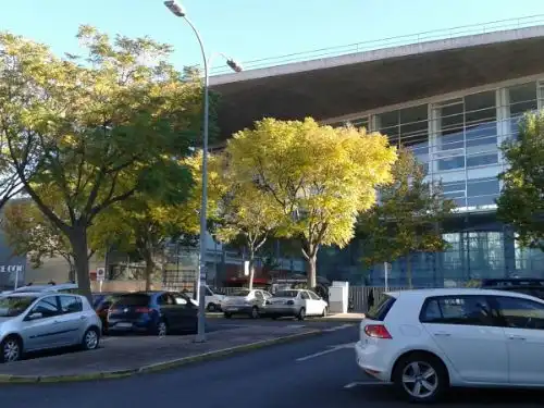 Gewerbefläche zum Verkauf in Plaza Trillo, imagen 2