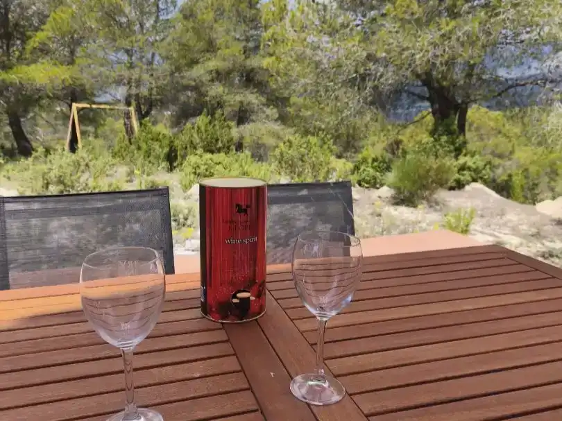 Terrassa de Casa o xalet en venda en Huéscar amb Jardí privat, Piscina i Moblat