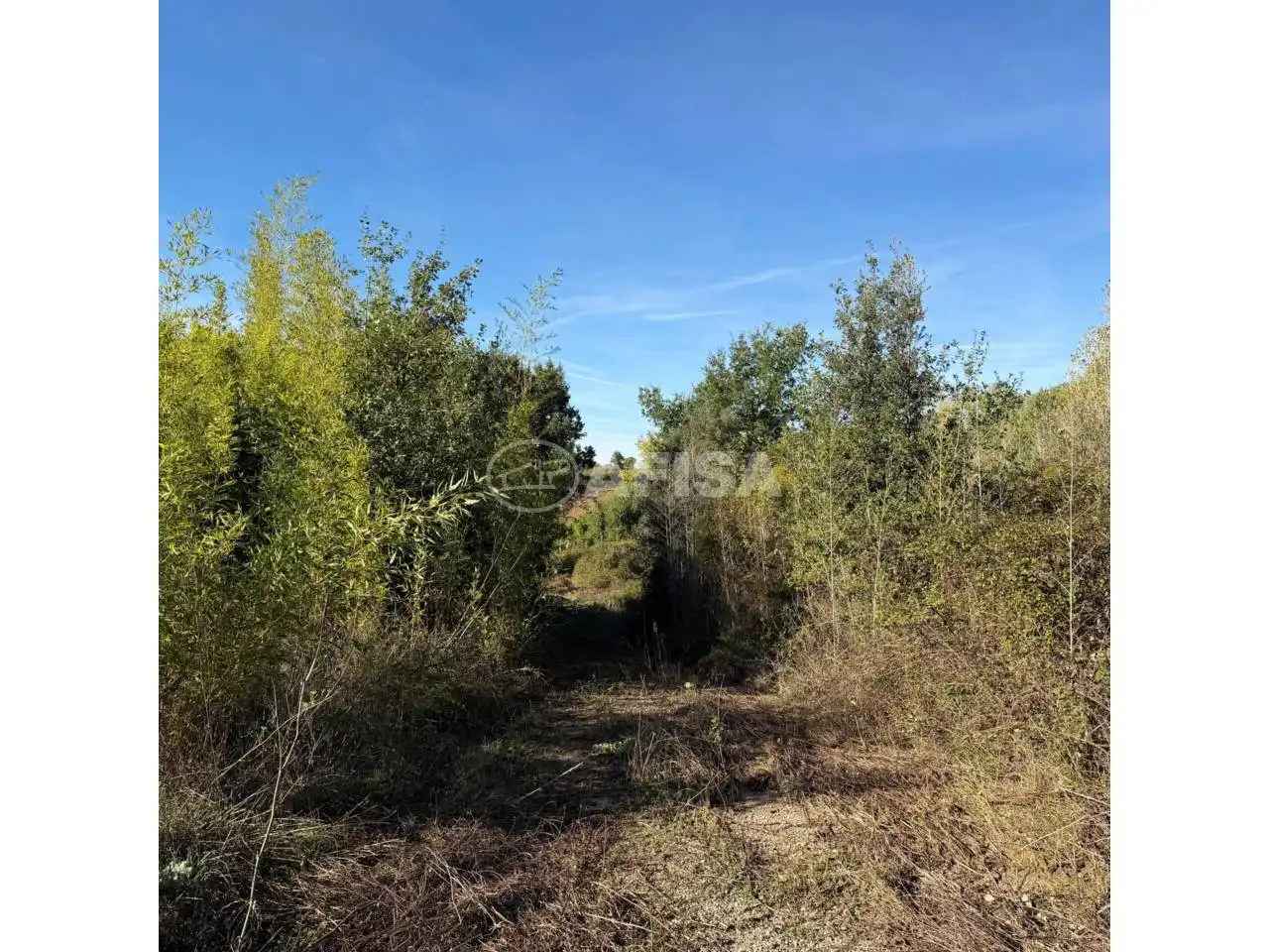 Terreno en venta en Cardedeu