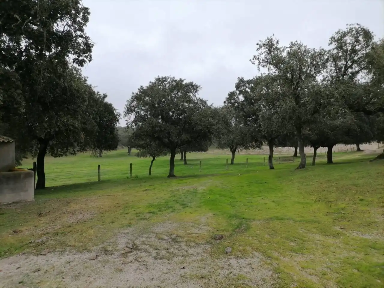 Terreno en venta en Poligono 1, La Alameda de Gardón