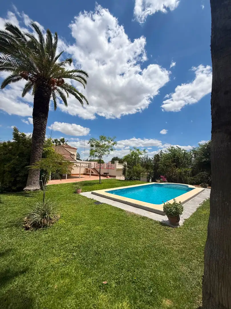 Chalet con piscina en venta en Carretera Olivares, imagen 70