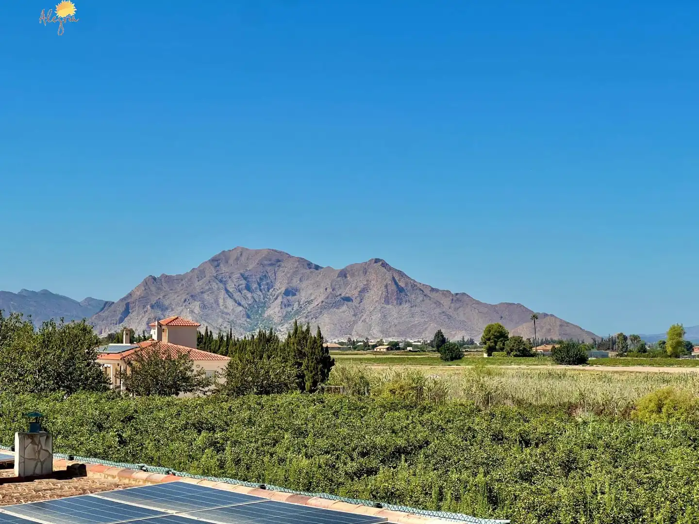 Villa avec piscine à vendre à Avenida Avenida Constitución, imagen 100
