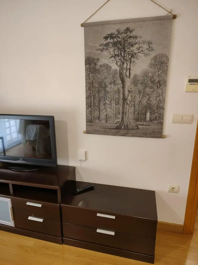 Living room of Flat for rent in Granada  with Furnished