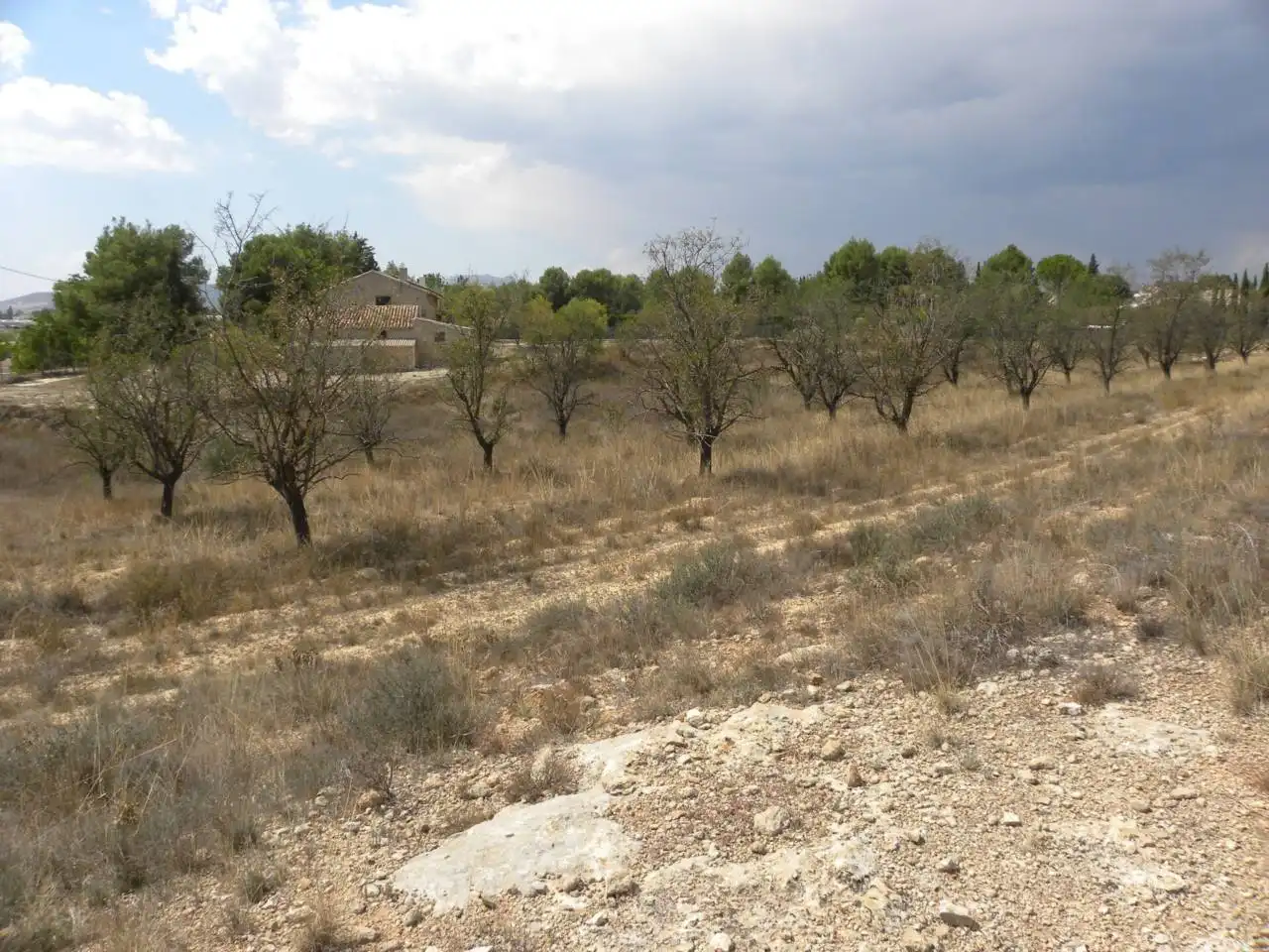 Residential land for sale in Caravaca de la Cruz, imagen 11