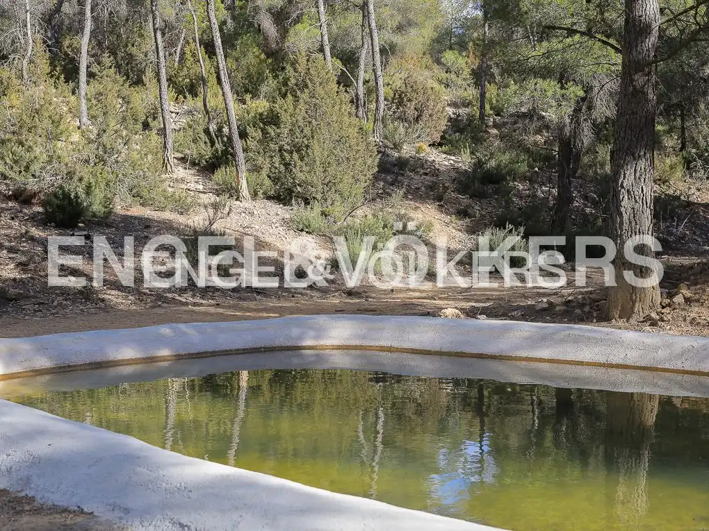 Maison rustique avec piscine à vendre à Ayora, imagen 50