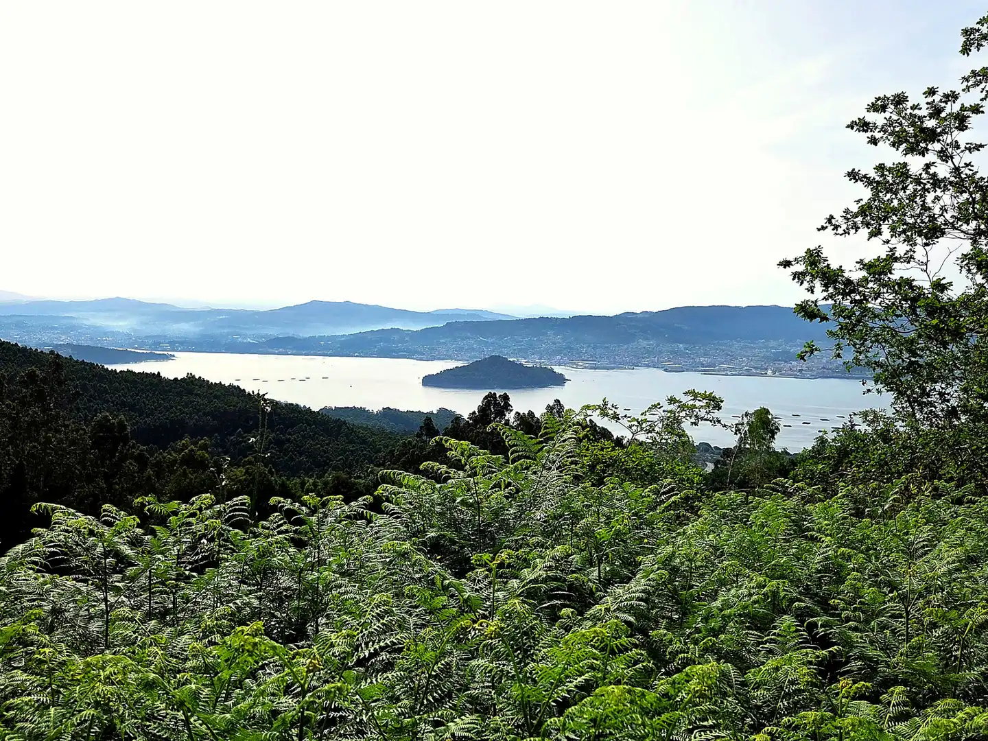 Vista exterior de Finca rústica en venta en Meis con Jardín privado y Terraza