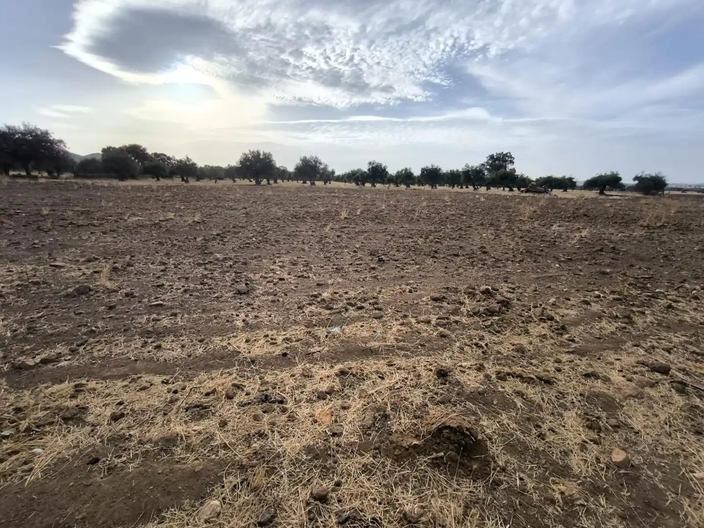 Finca rústica en venda en El Viso de San Juan