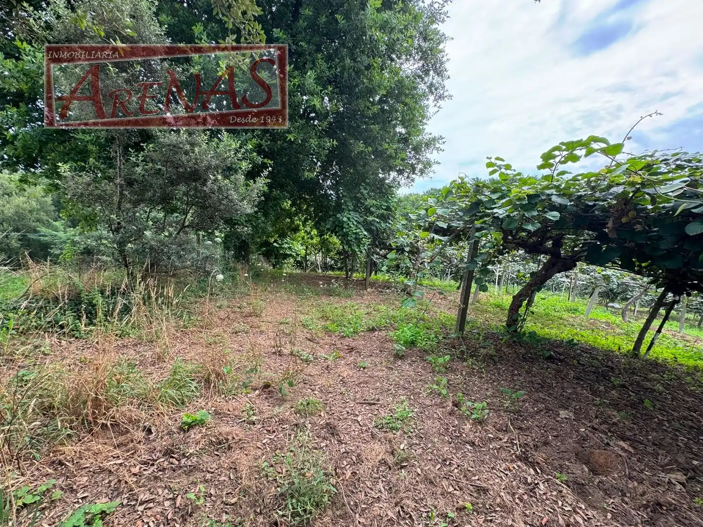 Land for sale in Marina de Cudeyo