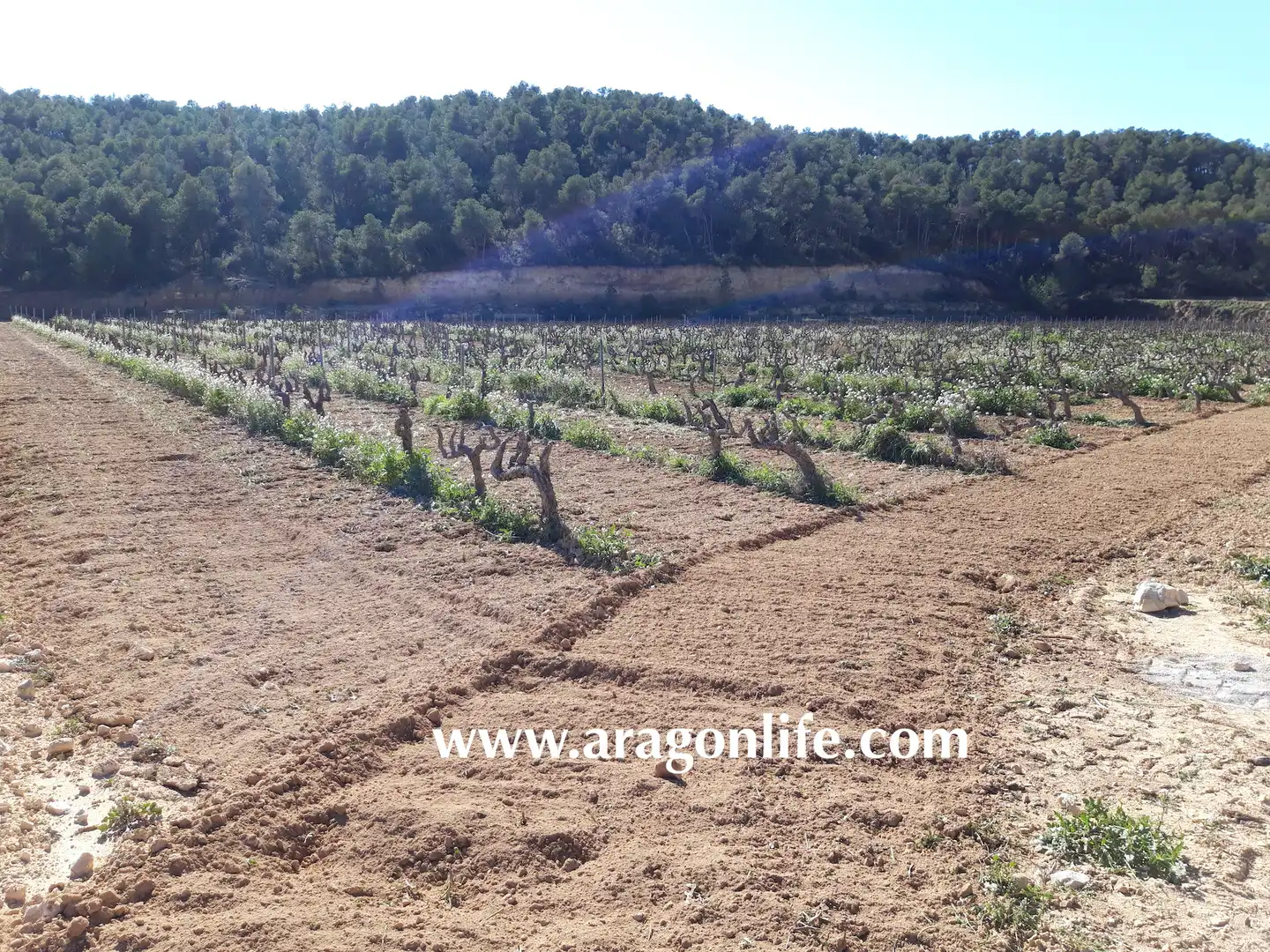 Finca rústica en venta en Nonaspe