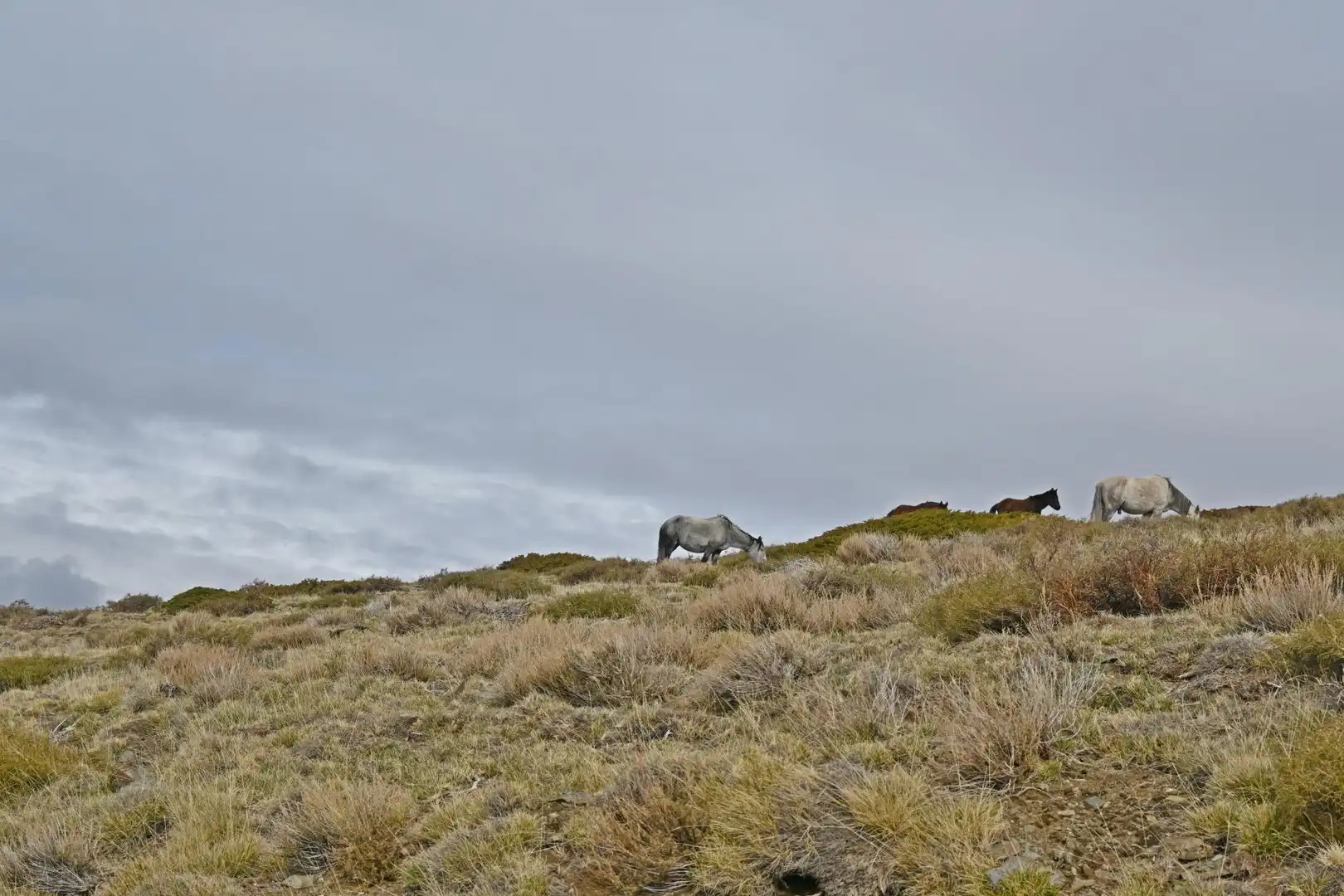 Haus zum Verkauf in Monachil pueblo, imagen 37