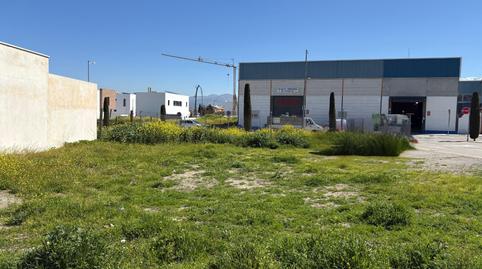 Photo 3 of Residential for sale in Calle Calle Petunia, Casco Histórico, Churriana de la Vega