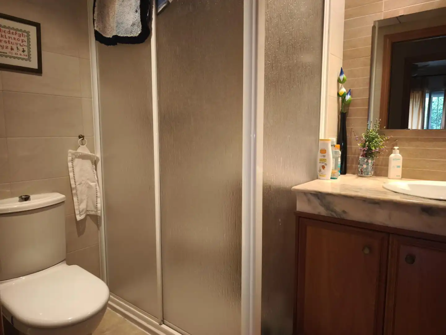 Baño de Planta baja en venta en La Ràpita con Aire acondicionado, Jardín privado y Terraza