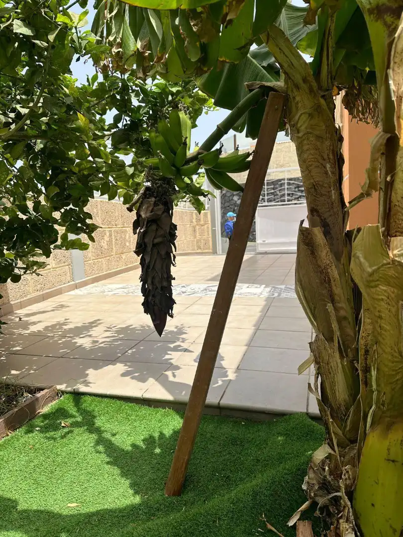 Casa o chalet en venta en Avenida San Francisco, Los Cristianos