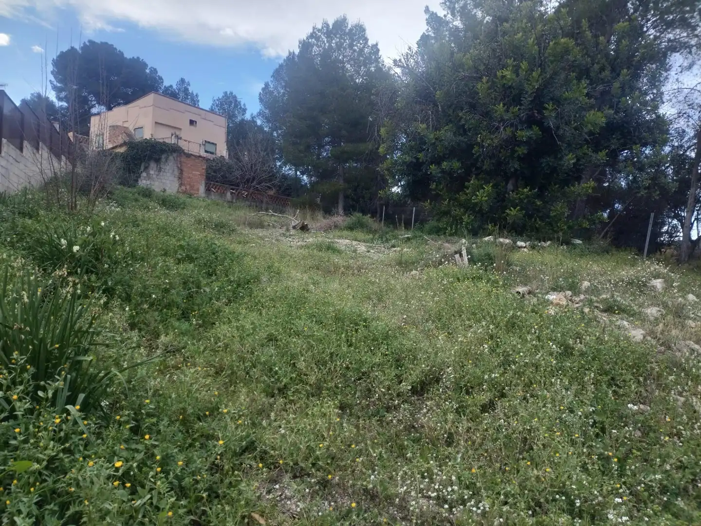 Terreny residencial en venda a L'Alcúdia de Crespins